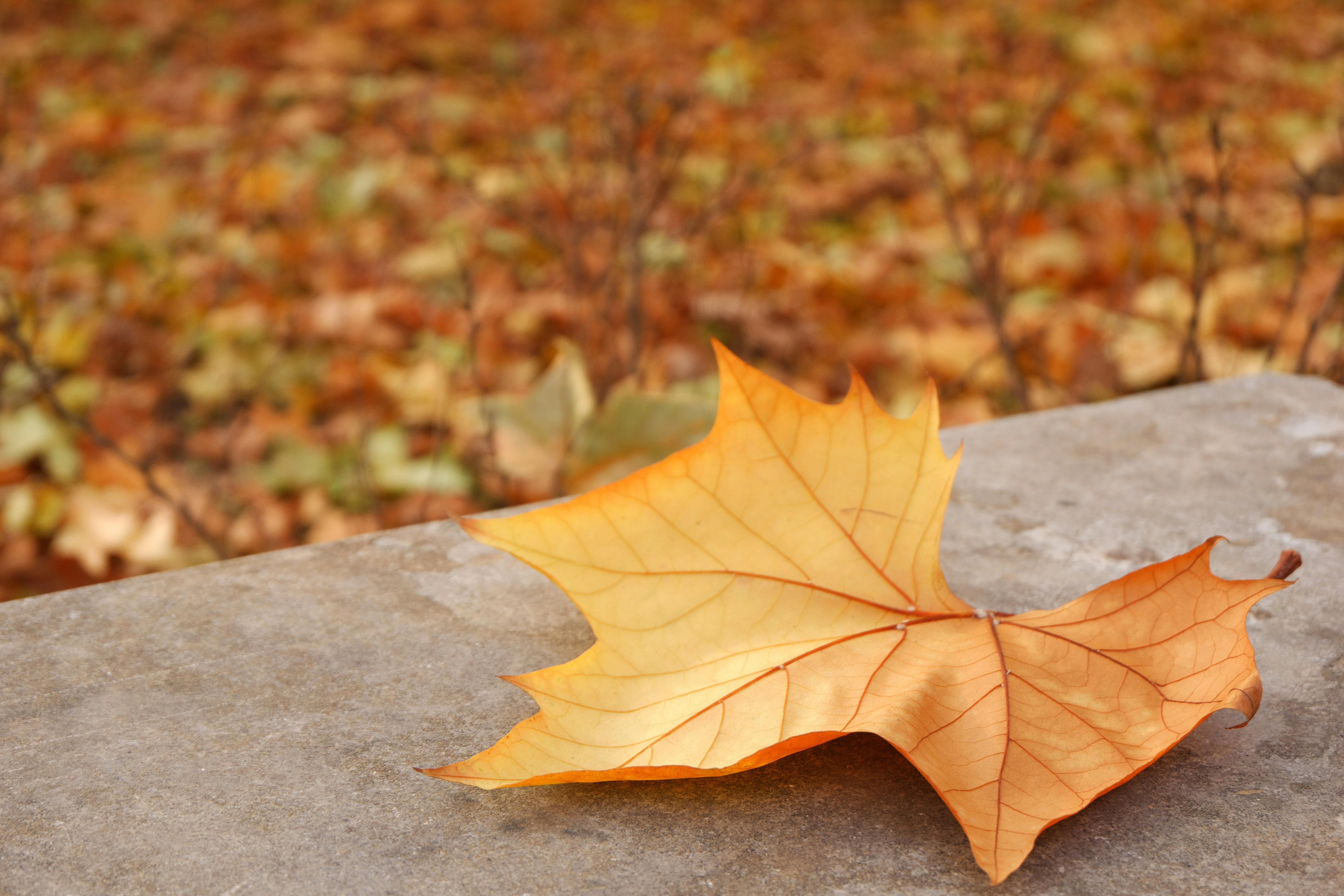 Pexels Yingying Li 2152990443 34424387